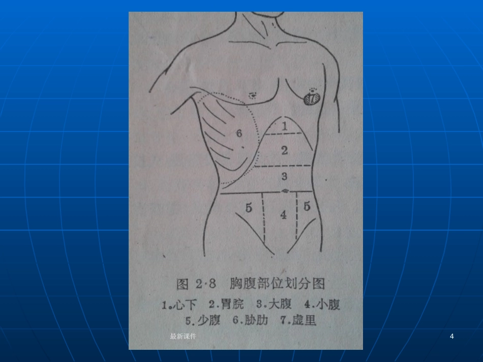 胆结石的中西医诊疗PPT课件_第4页