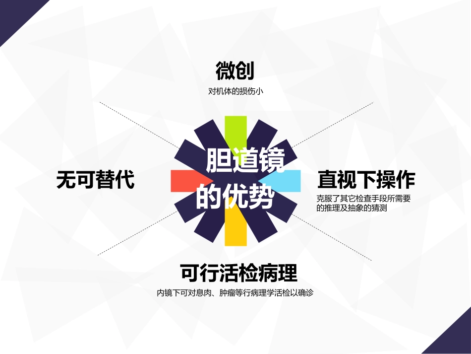 胆道镜课件_第13页