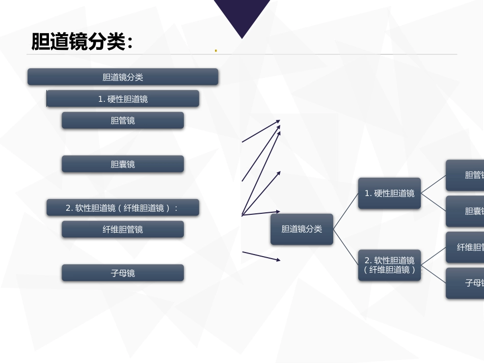 胆道镜课件_第14页