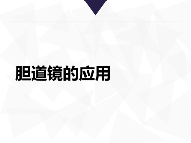 胆道镜课件