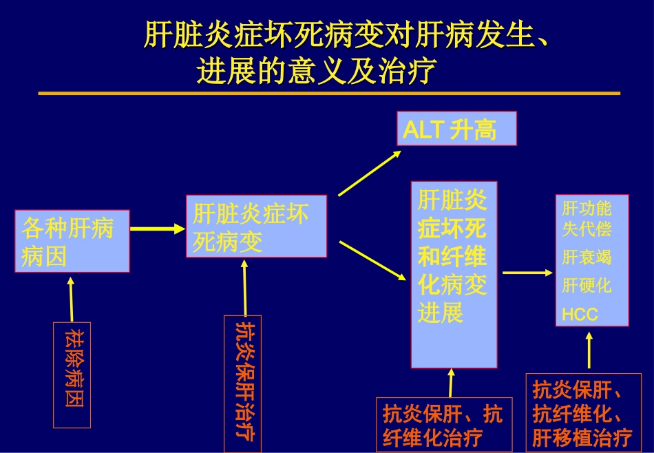 北京肝病治疗之保肝药物_第15页