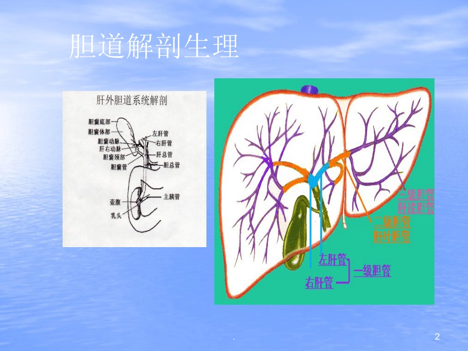 胆结石PPT幻灯片_第2页
