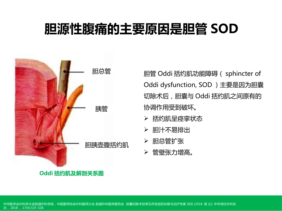 胆囊切除术后常见并发症的诊断与治疗_第9页