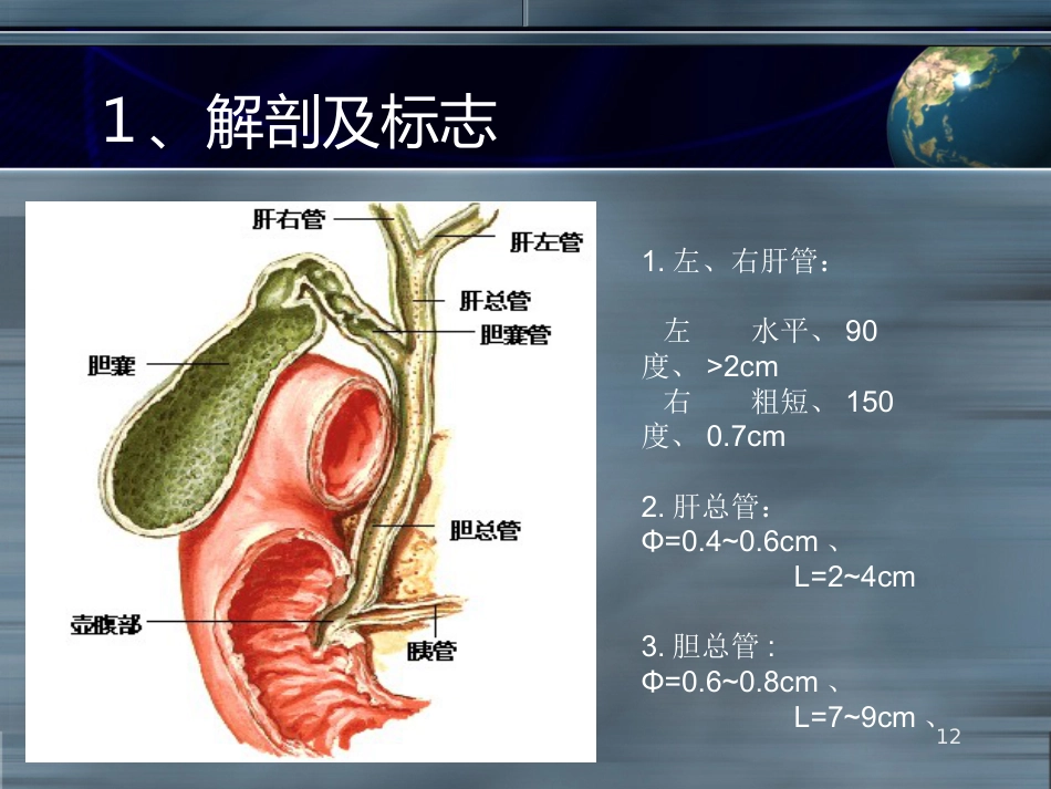 LC之胆道损伤并发症ppt课件_第12页