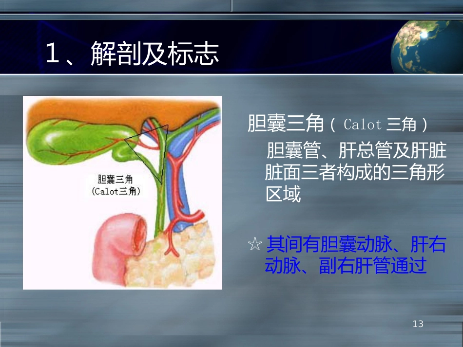 LC之胆道损伤并发症ppt课件_第13页