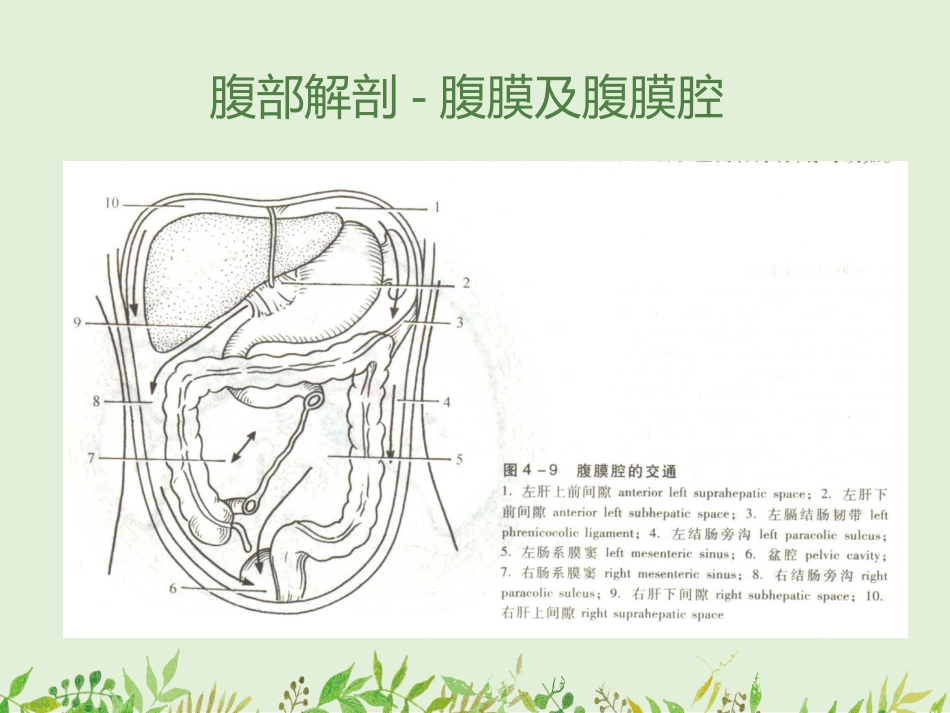 如何观察腹部X线平片-——腹部X线平片常见病的诊断_第13页