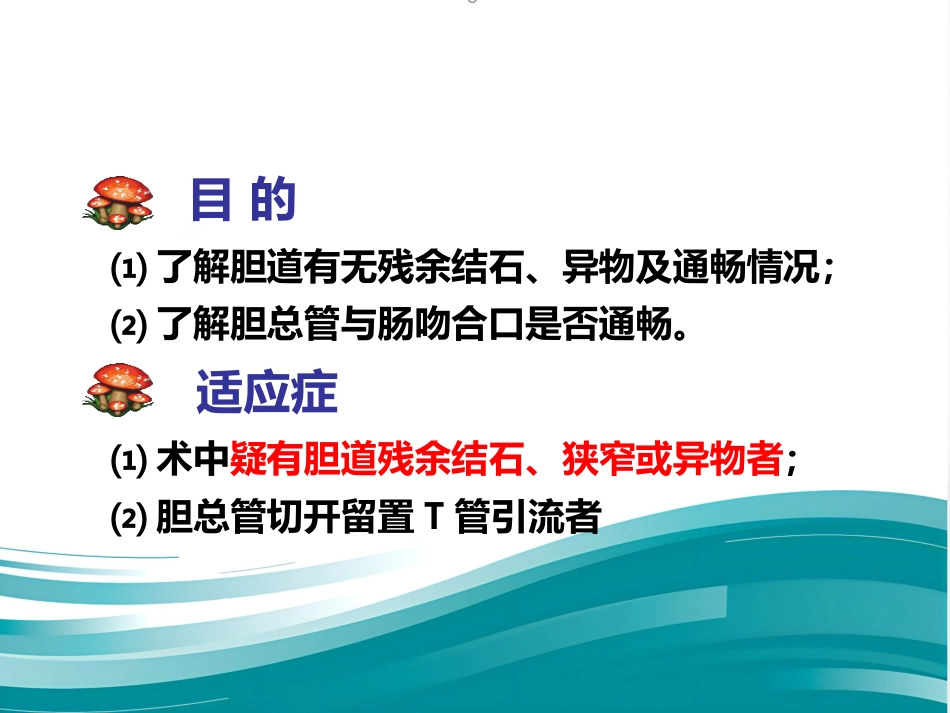 胆道系统疾病检查_第13页