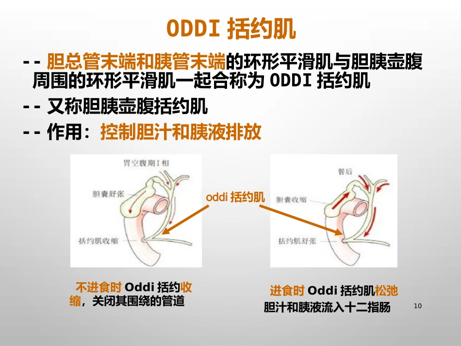 胆结石的诊治_第10页