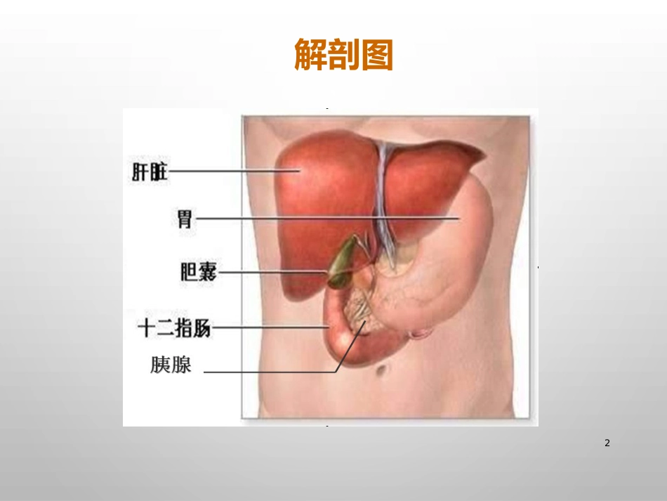 胆结石的诊治_第2页