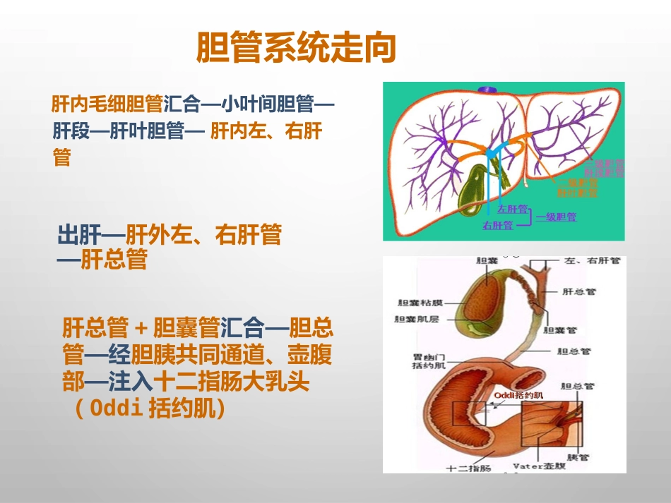 胆结石的诊治_第3页