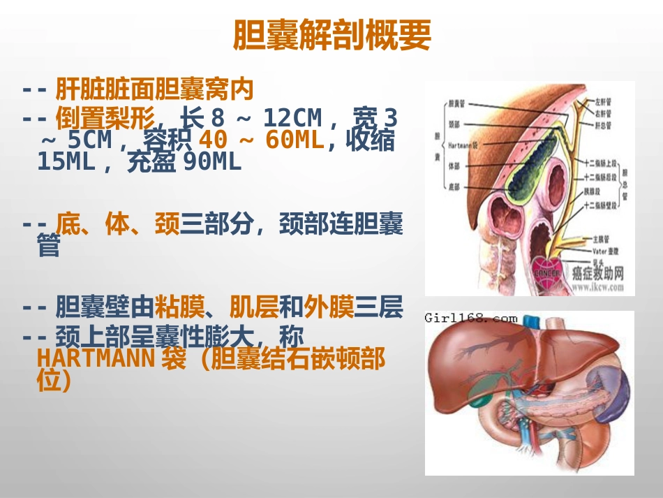 胆结石的诊治_第4页