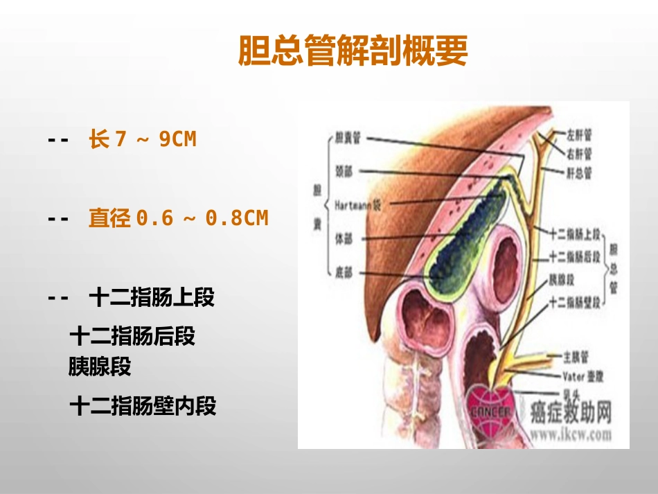 胆结石的诊治_第5页