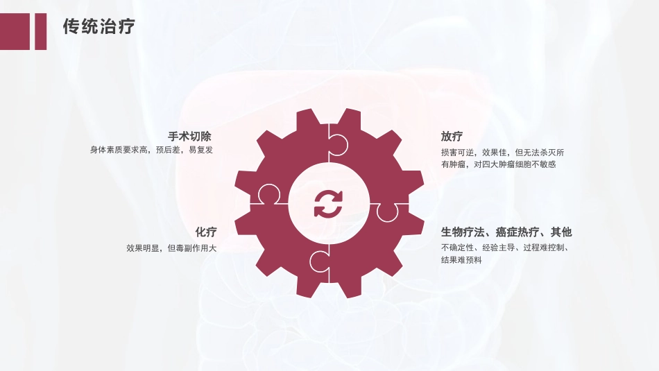 PPT案例-肝癌的精准治疗_第10页