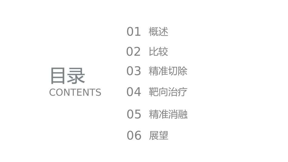 PPT案例-肝癌的精准治疗_第2页