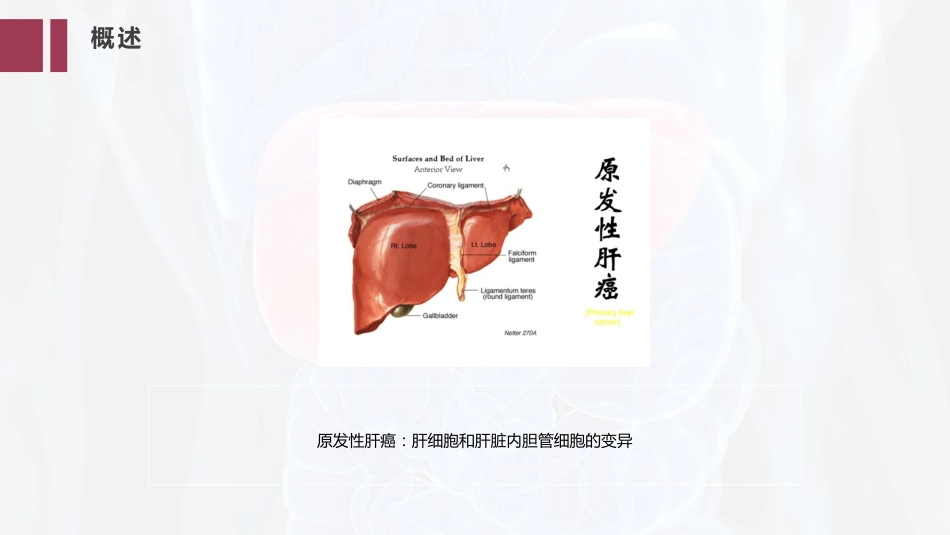 PPT案例-肝癌的精准治疗_第4页