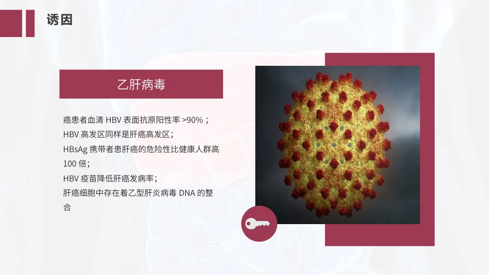 PPT案例-肝癌的精准治疗_第7页