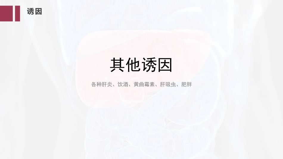 PPT案例-肝癌的精准治疗_第8页
