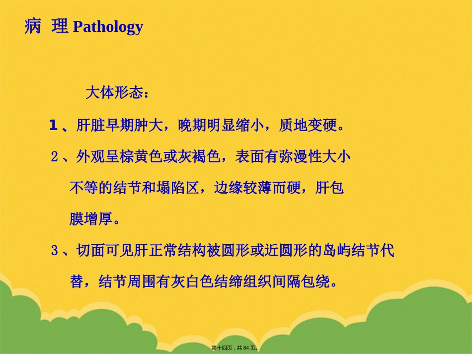 版肝硬化_第14页