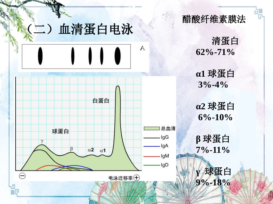 【诊断学课件】诊断学 肝脏病常用实验室检测_第11页