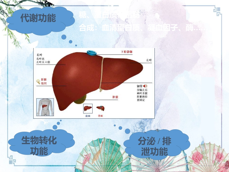 【诊断学课件】诊断学 肝脏病常用实验室检测_第2页