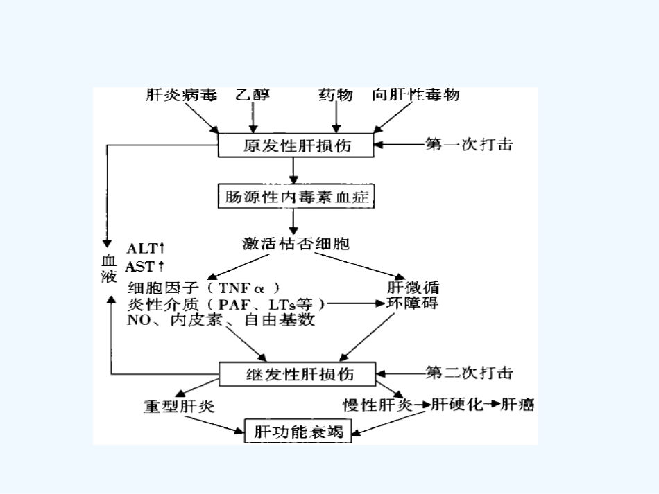 肠源性内毒素血症在肝硬化失代偿中的作用及处理_第10页