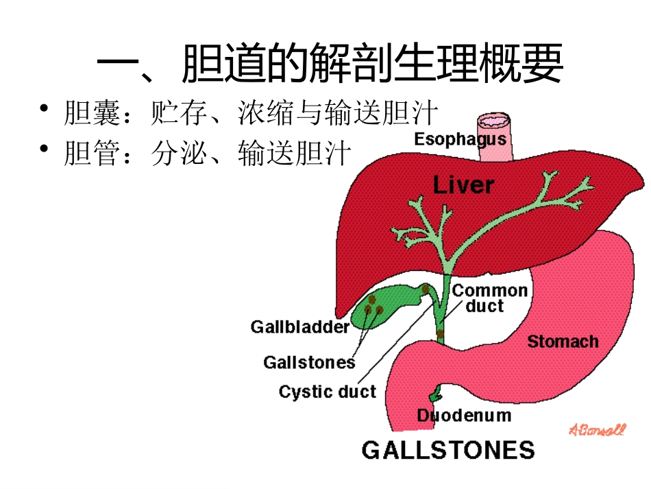 胆道疾病学习_第3页
