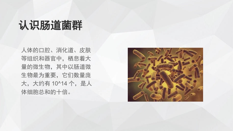 肠道菌群与肝脏疾病_第2页