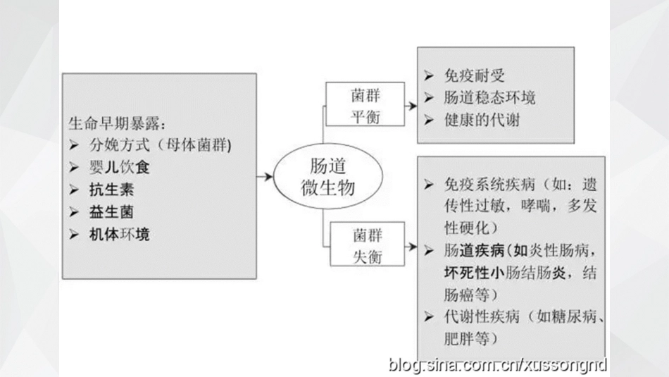 肠道菌群与肝脏疾病_第4页