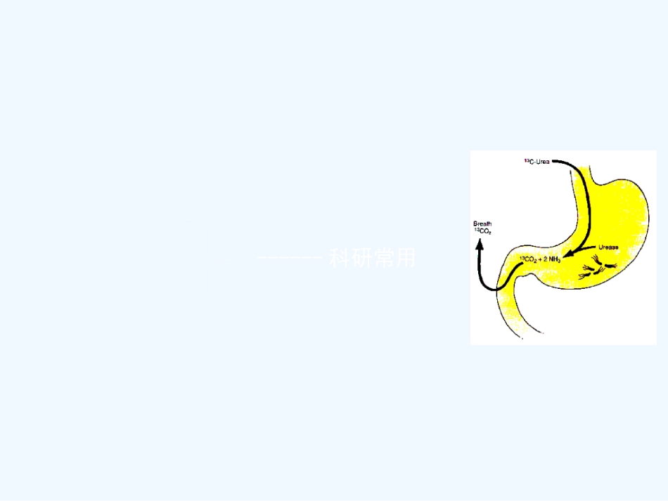 常见消化系统疾病的预防与诊疗_第9页
