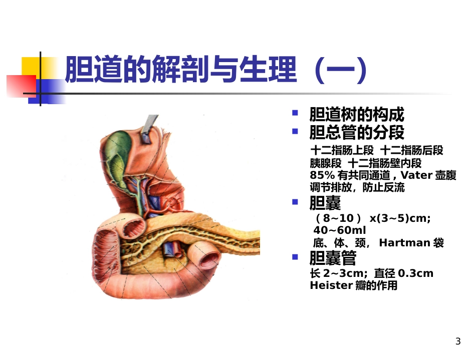 《胆道疾病》PPT课件_第3页