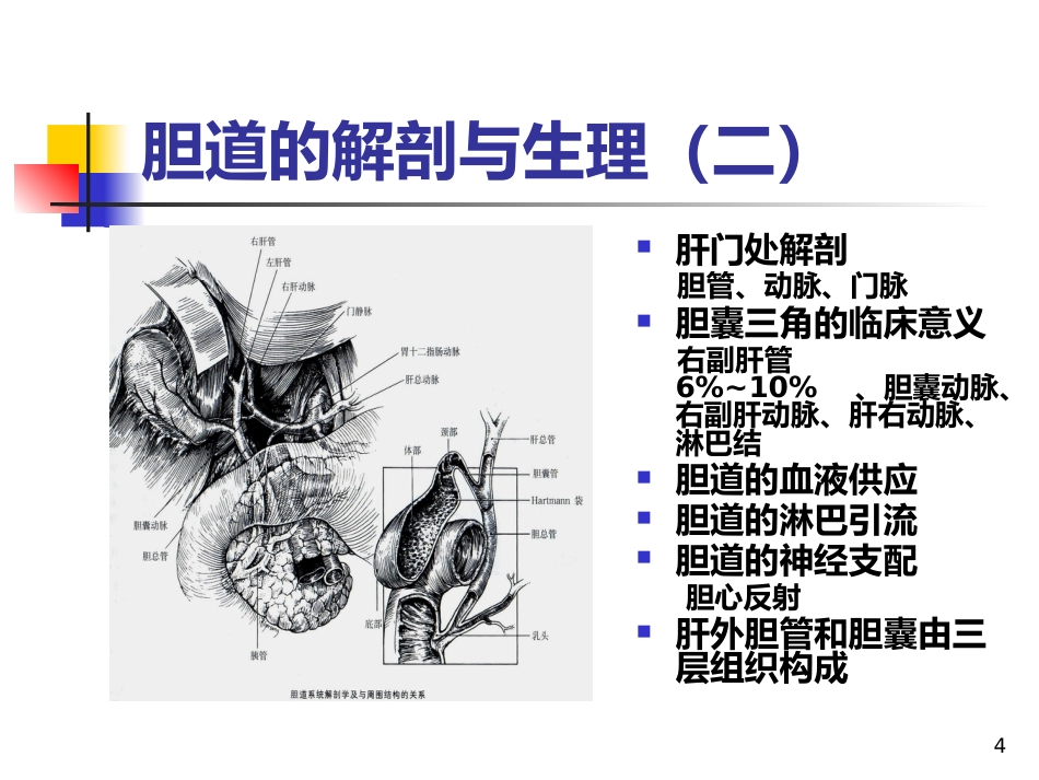 《胆道疾病》PPT课件_第4页