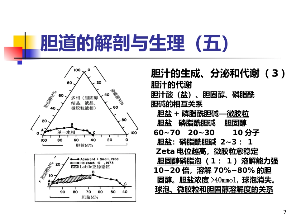 《胆道疾病》PPT课件_第7页