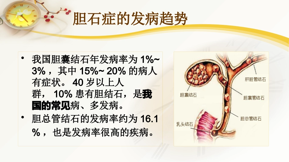 胆囊结石及胆管结石的微创治疗_第2页