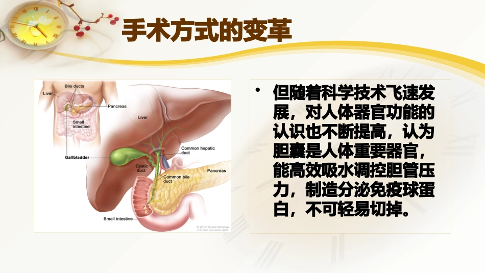 胆囊结石及胆管结石的微创治疗_第4页