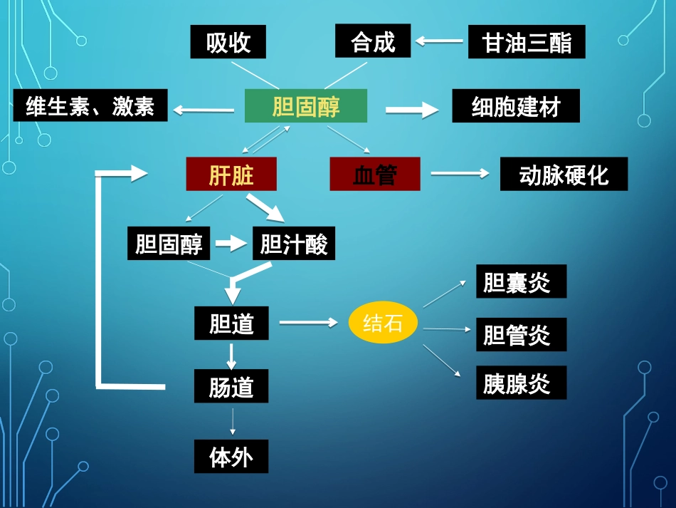 胆结石诊疗的新进展_第7页