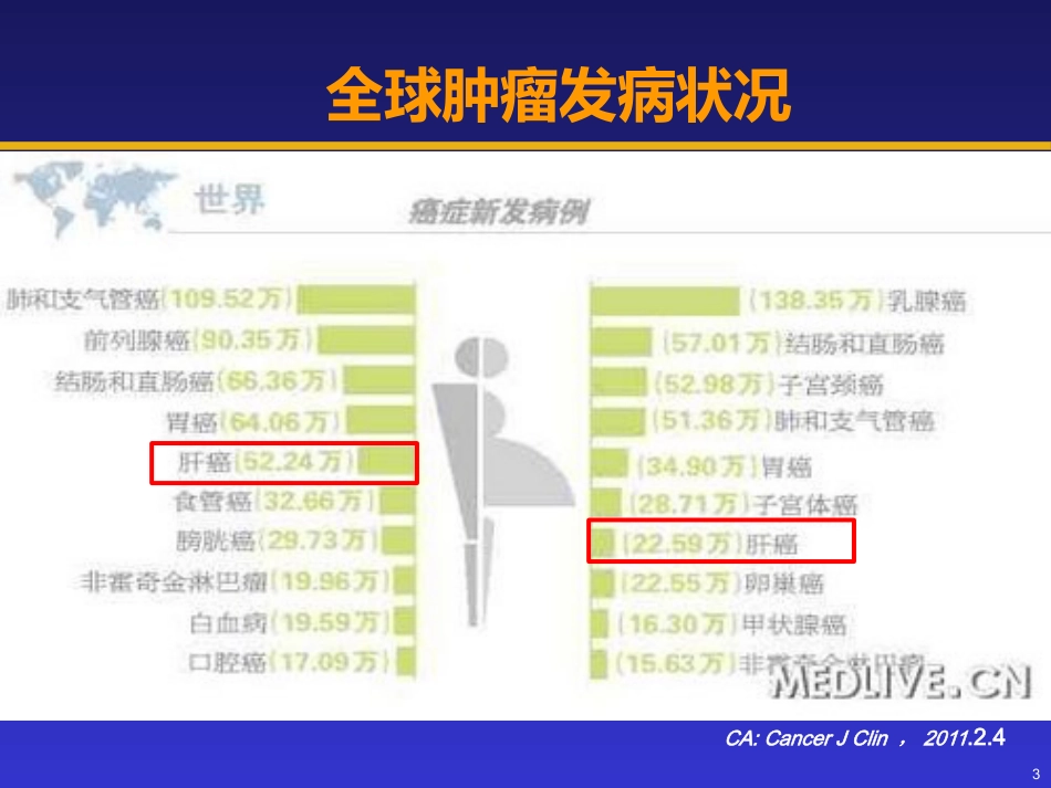 分子靶向物在肝癌治疗中的地位_第3页