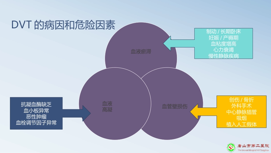深静脉血栓预防PPT课件_第5页