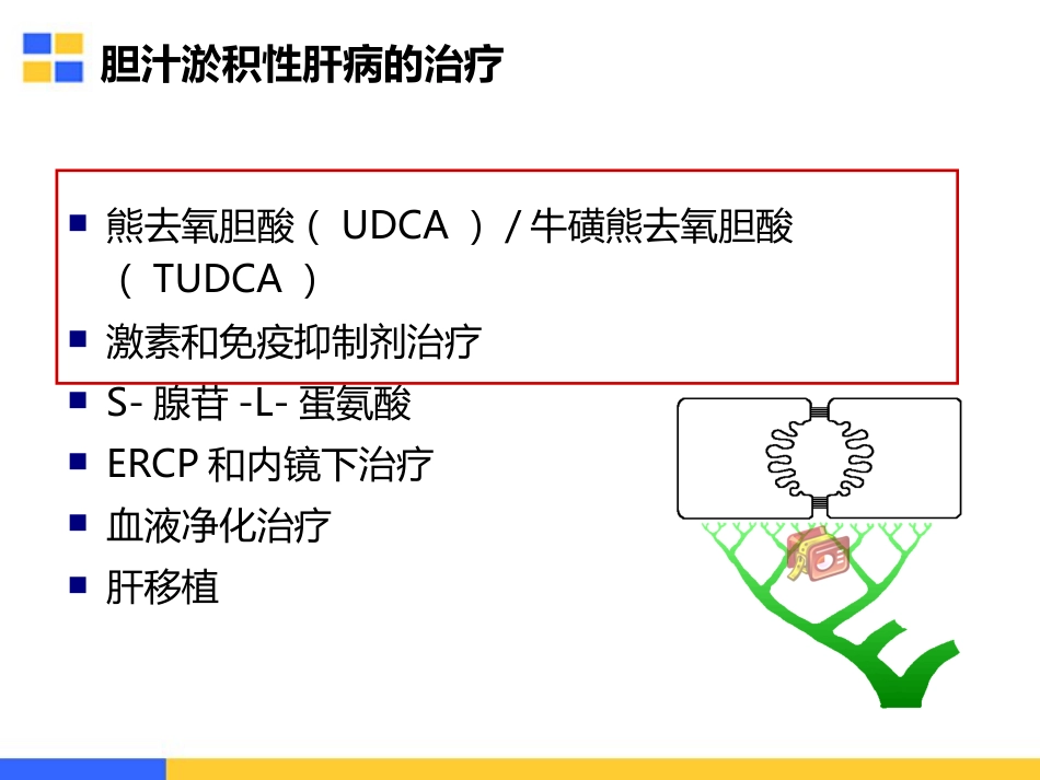 胆汁淤积性肝病的治疗策略_第12页
