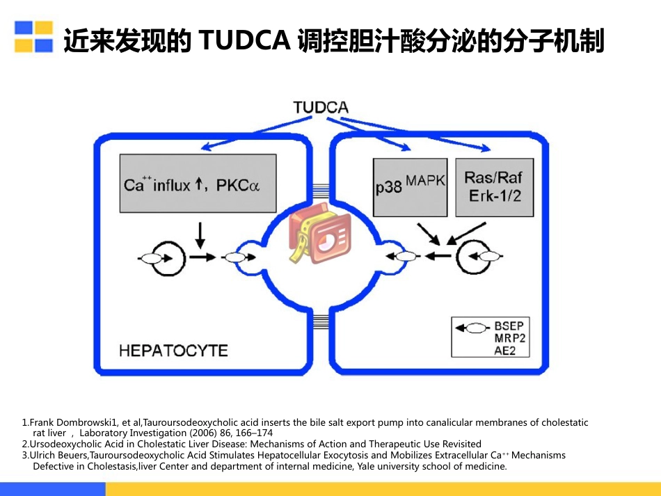 胆汁淤积性肝病的治疗策略_第15页