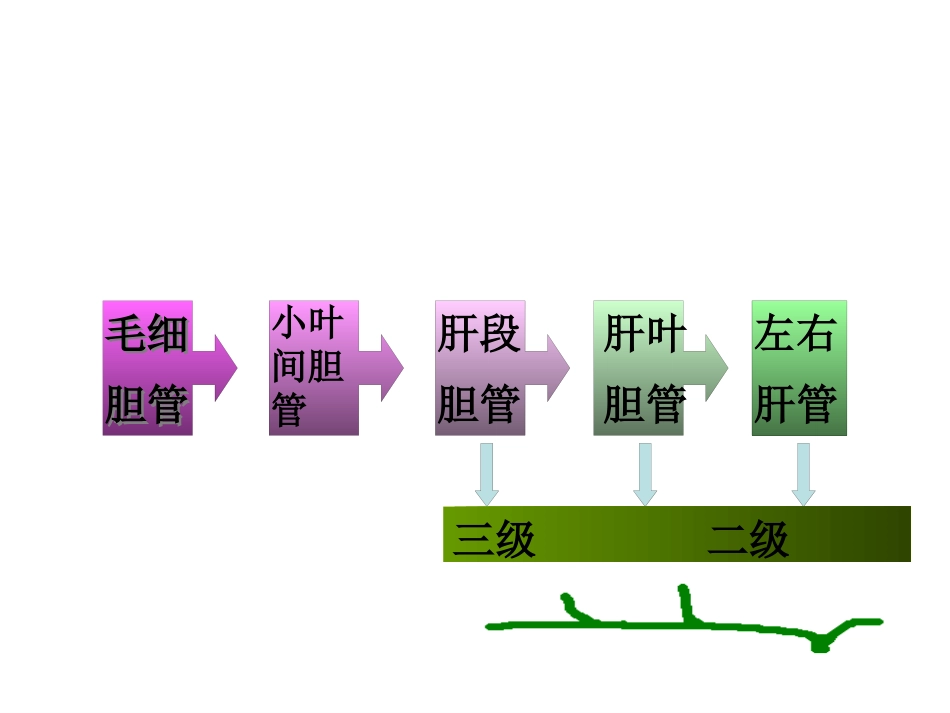 胆道疾病(1)_第4页