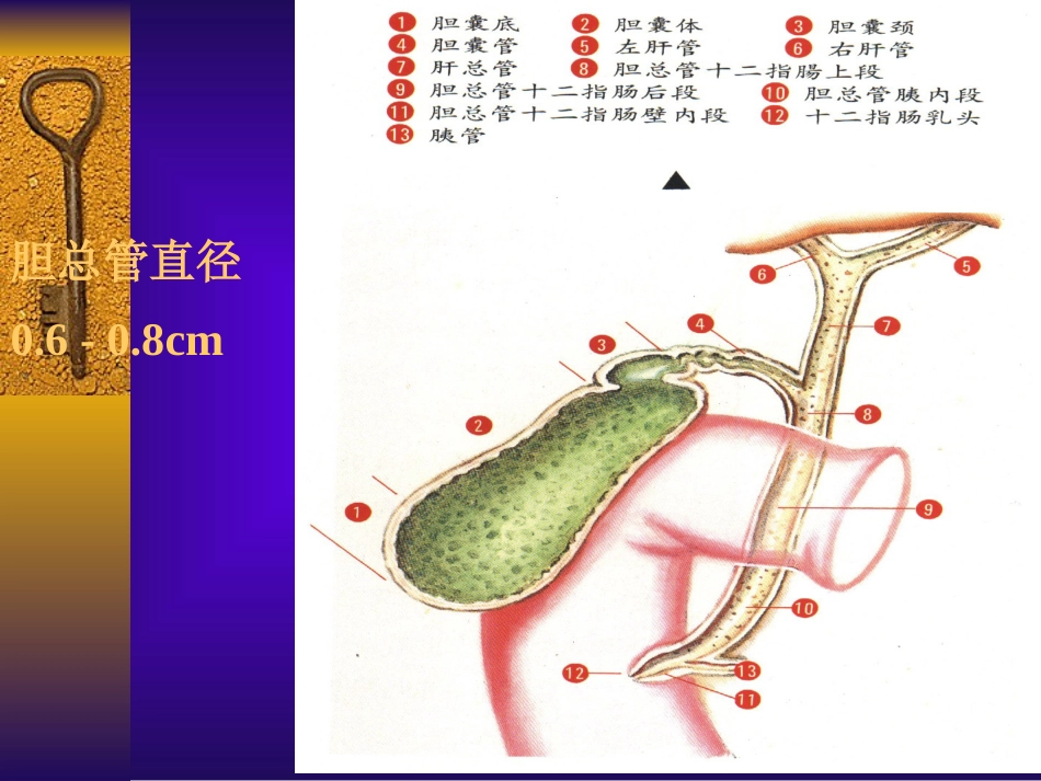 胆道疾病(3)_第8页