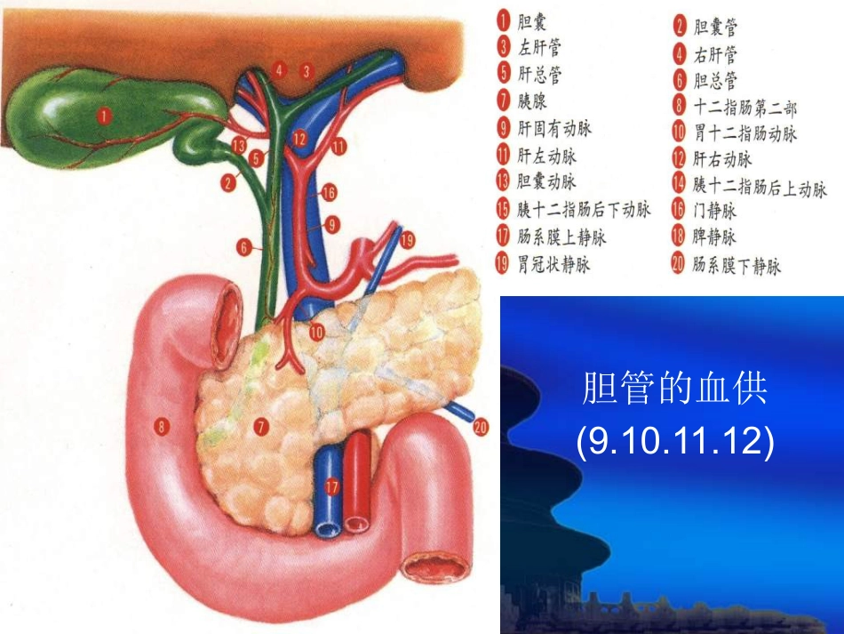 胆道疾病(4)_第14页