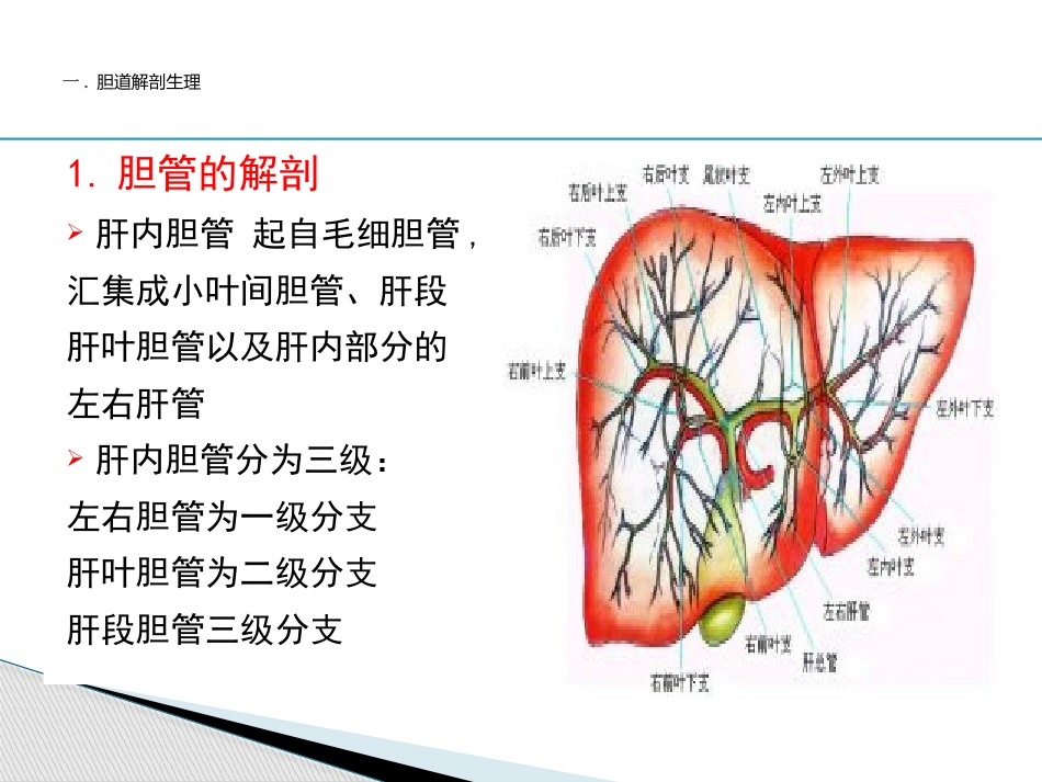 胆道疾病(6)_第3页