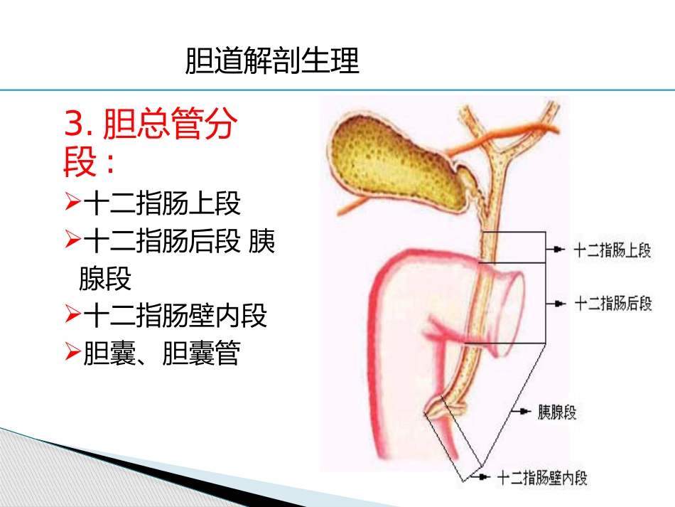 胆道疾病(6)_第5页