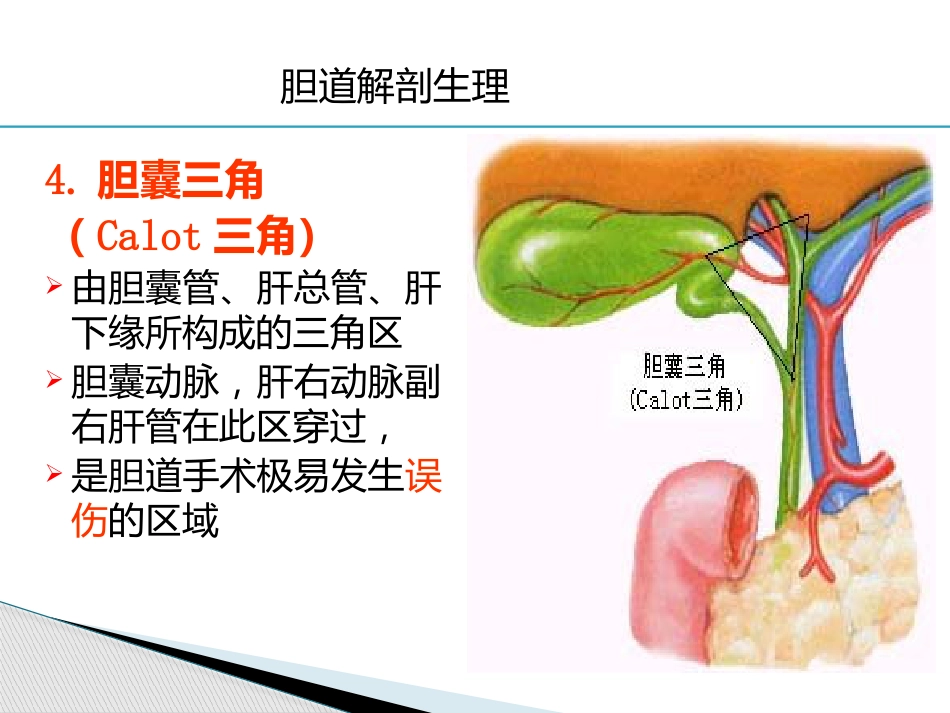胆道疾病(6)_第6页