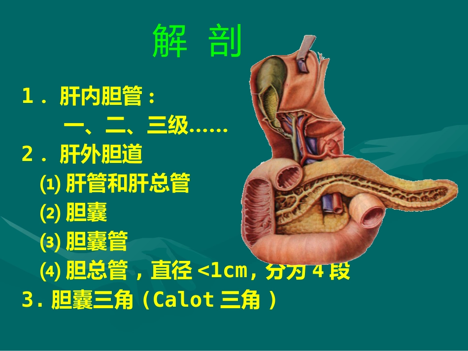 胆道疾病(7)_第2页