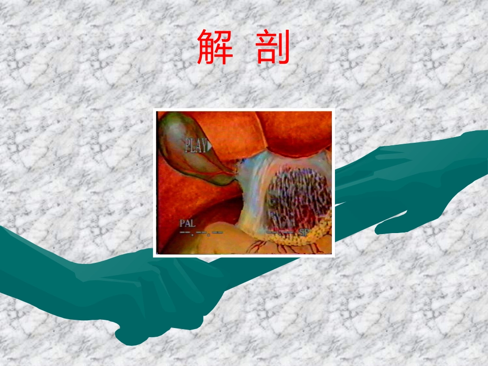 胆道疾病(7)_第3页