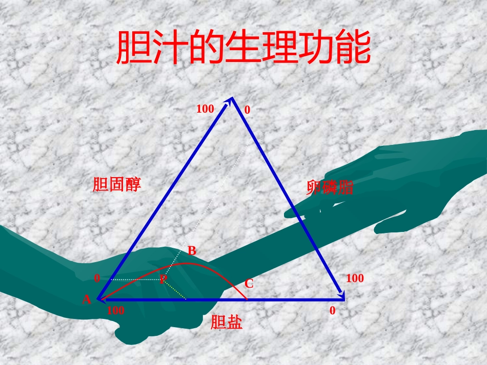 胆道疾病(7)_第7页