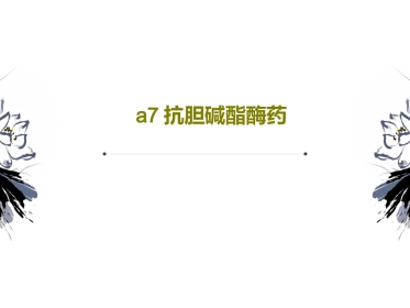 a7抗胆碱酯酶药42页PPT