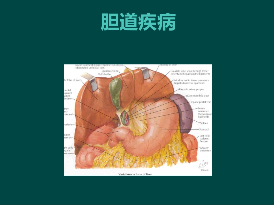 胆道疾病(9)_第1页